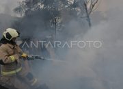 Kebakaran Permukiman di Kalbar: Puluhan Rumah Hangus, Ini Penyebab dan Tindakan yang Diambil