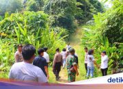 Konflik Lahan di Kalbar Kembali Muncul, Warga Minta Perhatian Pemerintah