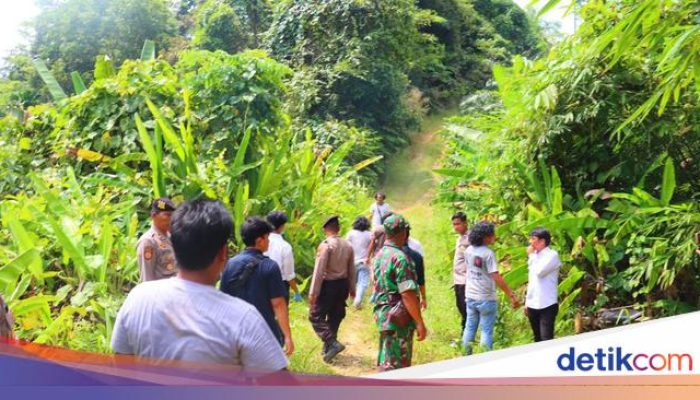 Konflik Lahan di Kalbar Kembali Muncul, Warga Minta Perhatian Pemerintah