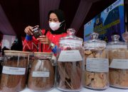 Ekspor Komoditas Kalbar Tembus Pasar Internasional: Tren dan Peluang Baru