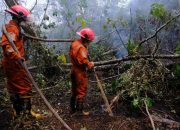 Kebakaran Hutan di Kalbar: BPBD Siaga Penuh, Ini Update Terbaru