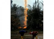 Viral! Air di Bukit Hulu Mengeluarkan Api, Apakah Ada Potensi Minyak?