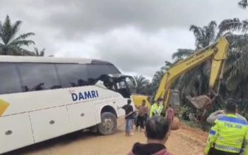 Kecelakaan Bus Damri Sintang–Pontianak di Penyeladi Sanggau, Satu Penumpang Meninggal Dunia
