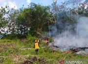 Tujuh Titik Hotspot Terdeteksi di Kapuas Hulu, Status Siaga Darurat Karhutla Diberlakukan