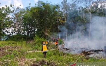 Tujuh Titik Hotspot Terdeteksi di Kapuas Hulu, Status Siaga Darurat Karhutla Diberlakukan