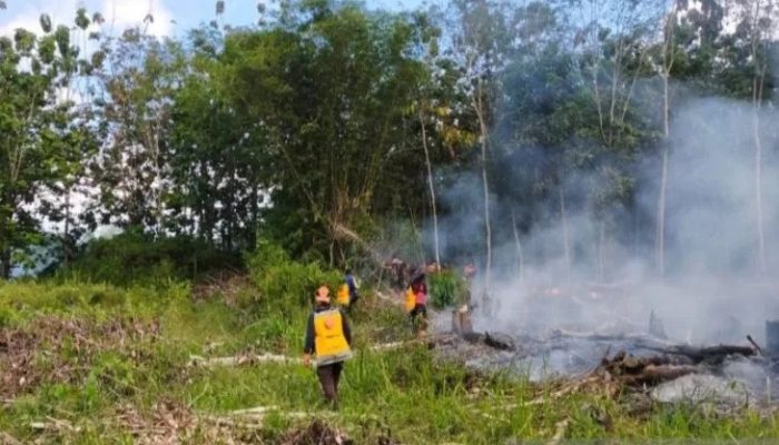 Tujuh Titik Hotspot Terdeteksi di Kapuas Hulu, Status Siaga Darurat Karhutla Diberlakukan